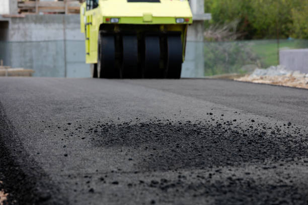Best Professional Driveway Pavers  in Reese, MI