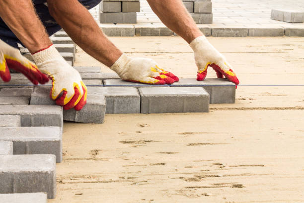 Reasons to Select Us for Your Driveway Paving Requirements in Reese, MI