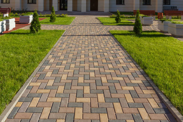 Best Driveway Repair Near Me  in Reese, MI